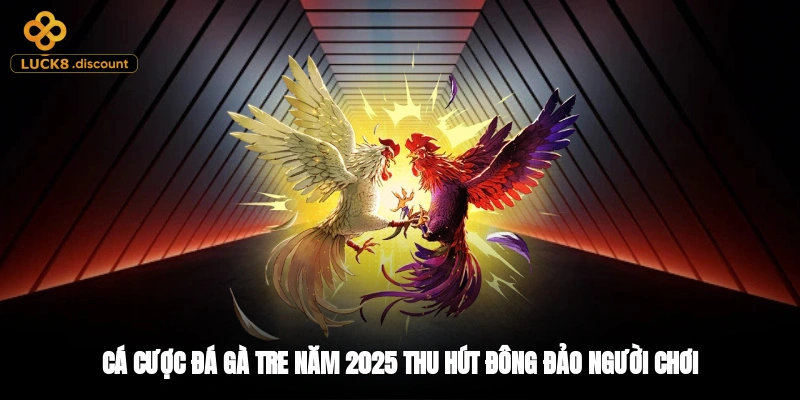 Cá cược đá gà tre năm 2025 thu hút đông đảo người chơi