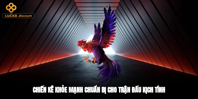 Chiến kê khỏe mạnh chuẩn bị cho trận đấu kịch tính