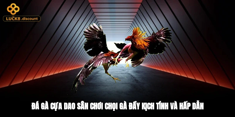 Đá Gà Cựa Dao - Sân Chơi Chọi Gà Đầy Kịch Tính Và Hấp Dẫn