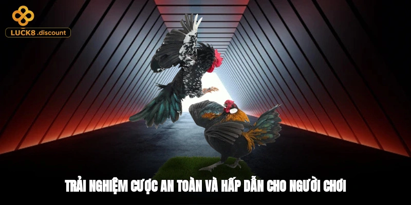 Trải nghiệm cược an toàn và hấp dẫn cho người chơi